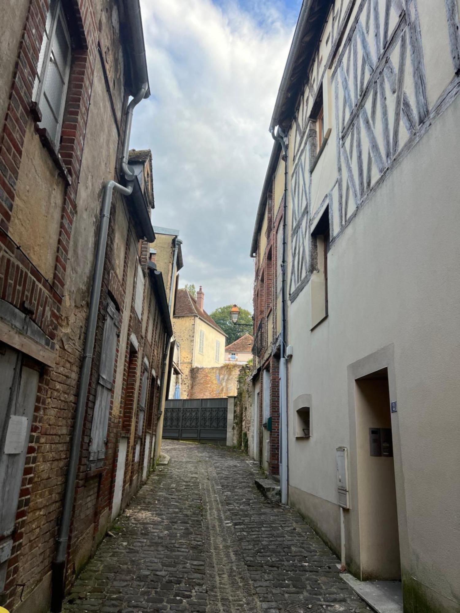 Le Citadin Bourguignon Pensionat Toucy Exteriör bild